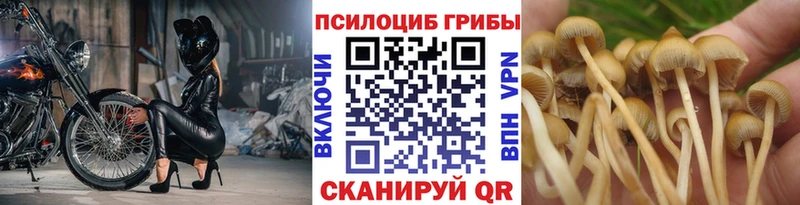 Псилоцибиновые грибы мицелий Обь
